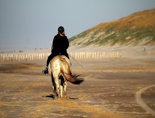 Le casque d'équitation